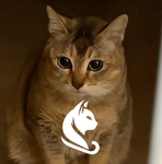 meoẉ