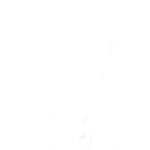 Couturè Du Jour