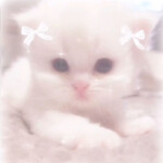 ‧˳ ♪ 🎀🥛 ꒰⑅๑• ω •๑⑅꒱ 👛🦴 Ⳋ ˚.