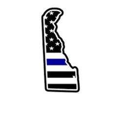 DS:RP I DELAWARE STATE ROLEPLAY V1 icon