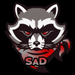 S.F.P.T Sad Face Parkour Team