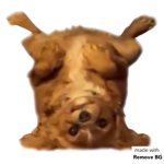 POTATOSSSSSSSSSSS