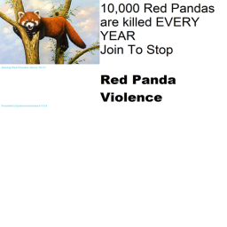 Red Panda Support Group Hangout!