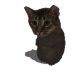 Dudemik