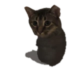 Dudemik