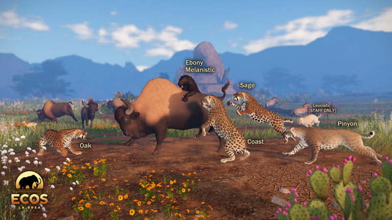 New Smilodon skin