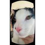 shrububabledingdong