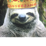 Sloths T-Shirts