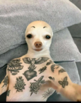 /Yukiiii