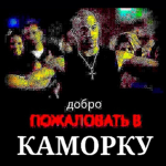 котики