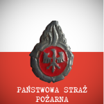 Państwowa Straż Pożarna [PSP]