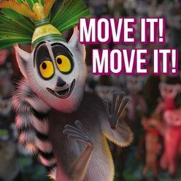move it move it