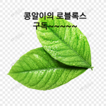 호디의 로블록스