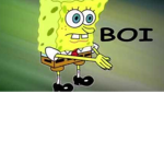 Meme bio