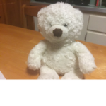 Bear and sam