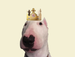 Walter Dog Is The Goat