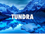 The Tundra Pack