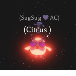 Sug Shack Army