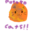The Potato Cat members