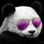 GAINT PANDA GROUP