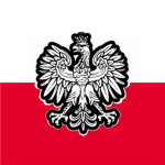 Polska Organizacja Wojskowa
