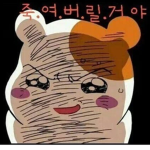 카와TV