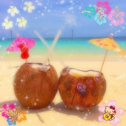 ~🐚☼🦪