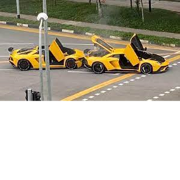 car crash and race simulator