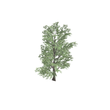 [Best!] Hello Neighbor old art tree! House VIP Clu