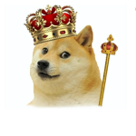 DÕGS UNITED