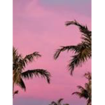 CalmWaves