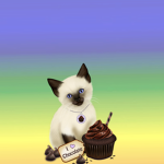 Chocolate cat squad!