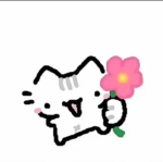 Zo zo cats group