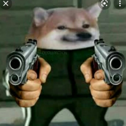 DESTROY THE FURRYS COMRADE HERE WE GO