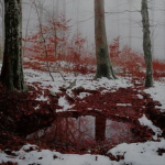 rooobbblllooox