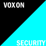 Voxon Security