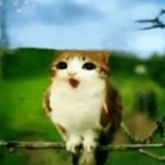 ThisIsAPrettyCoolGroup