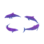 Galaxy Dolphin Aura