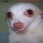 Doggies that give robux