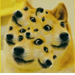 The Doge's United
