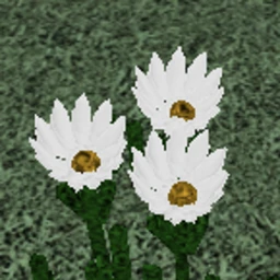 my shop icon
