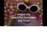 HAMSTER GANG FOR LIFE YESSSSSSIR