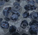 ~ The Blueberries ~