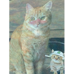 Robux_foreever