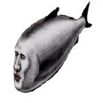 Fishes Attack