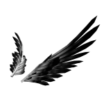 Ultra Black Wings