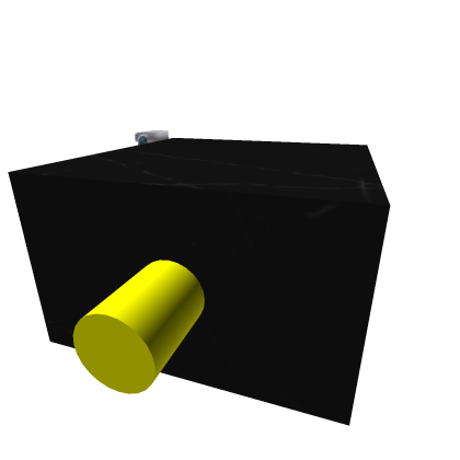 Security Camera