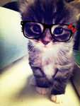 Awesome Ava!