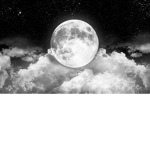 LightMoon Studios