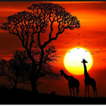 Thee Official African Gang